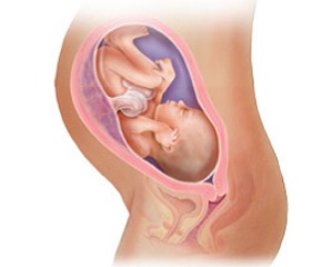 Está grávida de 32 semanas – já só faltam 56 dias!