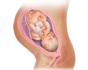 Está grávida de 37 semanas – já só faltam 21 dias!