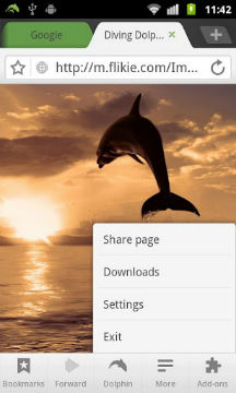 TeK Dolphin Browser