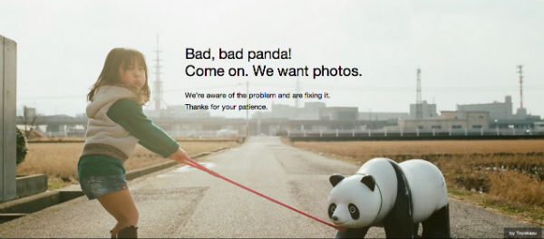 Flickr Bad Panda