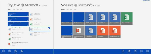 SkyDrive Pro