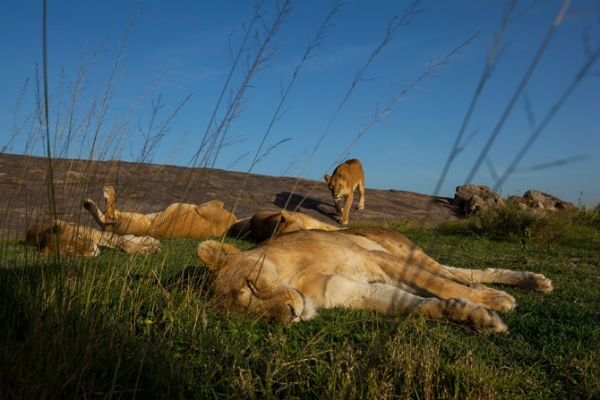 National Geo