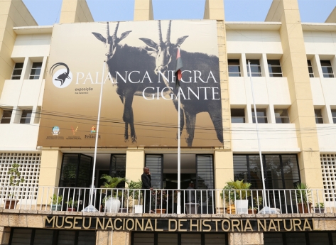 Image result for Museu Nacional de HistÃ³ria Natural de Angola