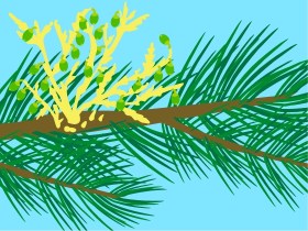 Plantas parasitas
