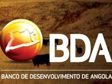 Banco de Desenvolvimento de Angola financia produção de mel
