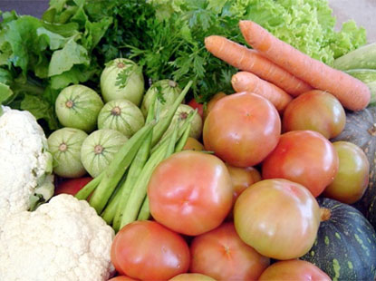 Economia: Namibe: Camponeses serão apoiados em viaturas no quadro do Papagro