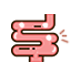 Intestinos